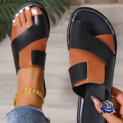 Brown / Black